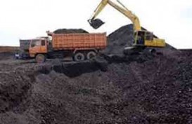 KURANG BAYAR PAJAK: Ditjen Pajak Buru Berau Coal